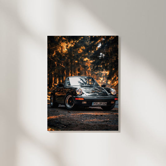 Porsche 911 | Car Poster