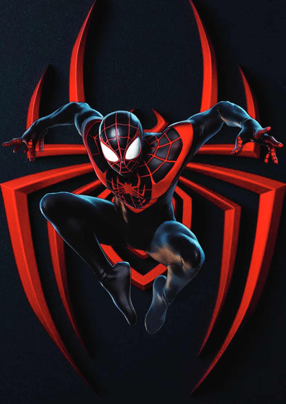 Spiderman | Marvel DC Poster