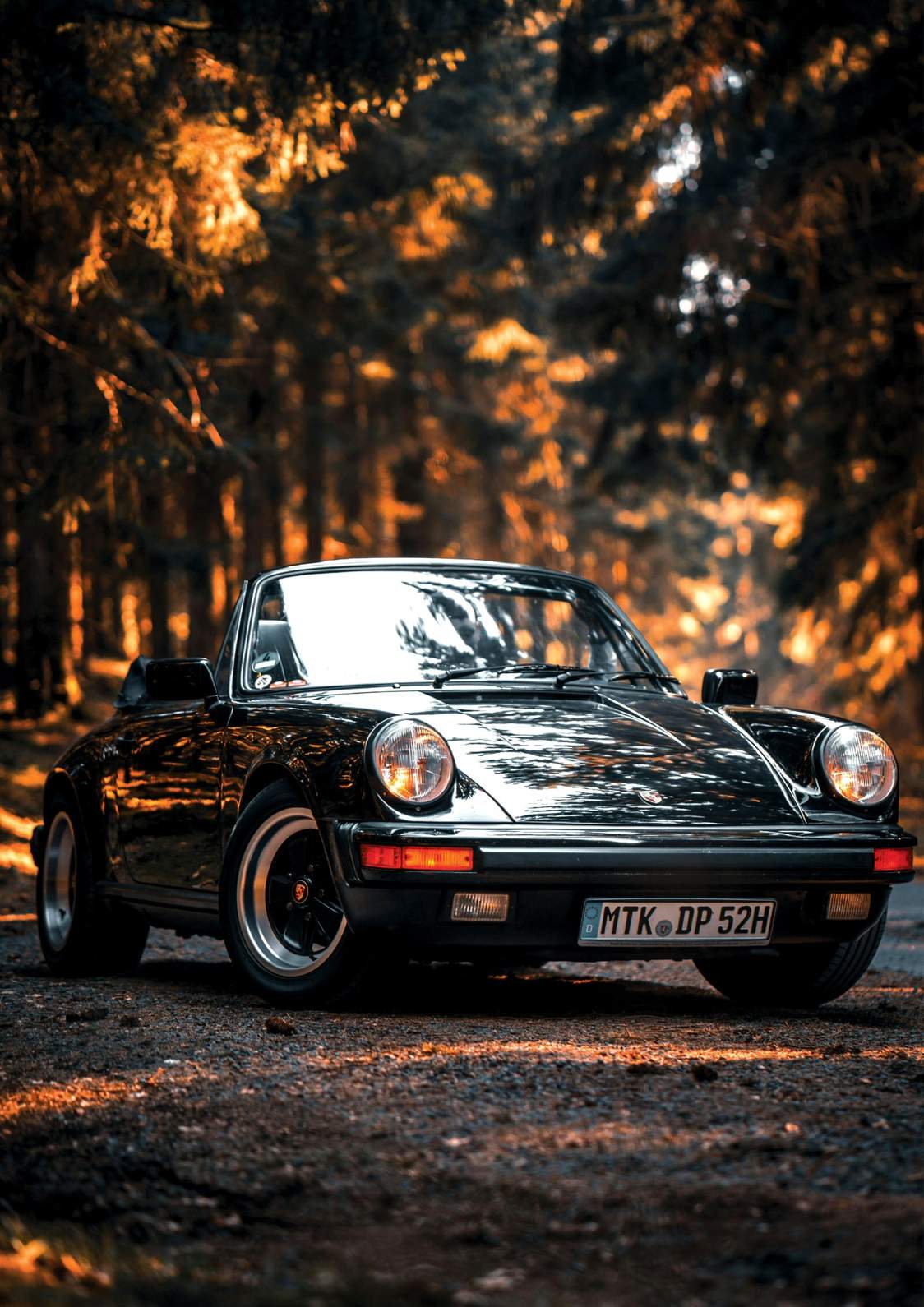 Porsche 911 | Car Poster