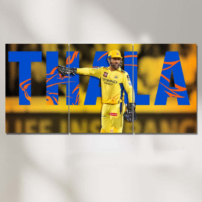 MS Dhoni | Split Poster