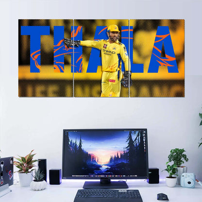 MS Dhoni | Split Poster