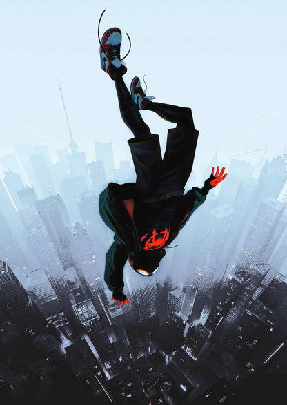 Spiderman Universe | Marvel DC Poster